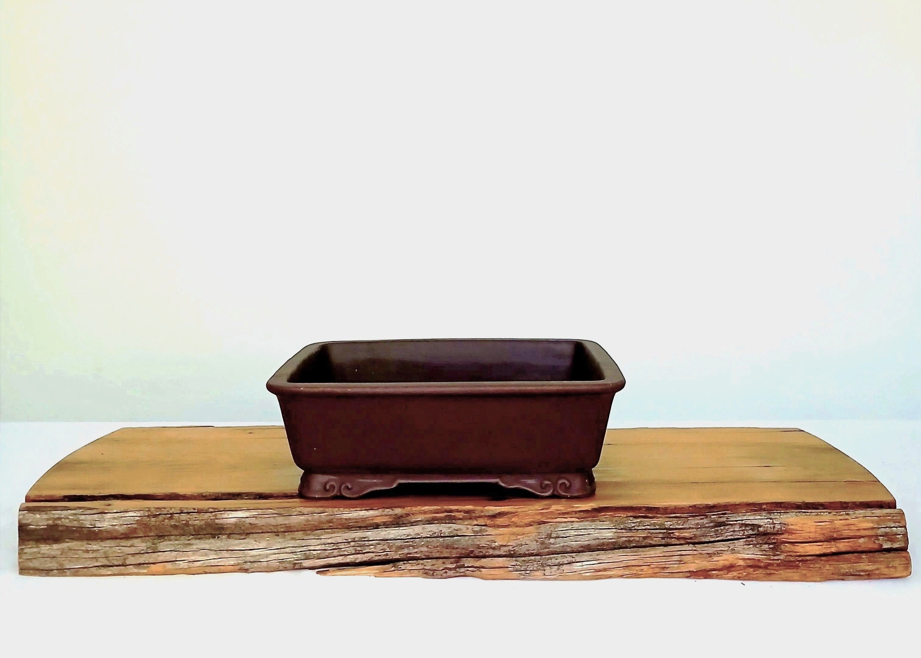 Bonsai Pot Rectangle 21cm - The Plant Warehouse NZ