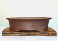 Bonsai Pot Oval 49cm Reduction Fired - O5RF - The Plant Warehouse NZ