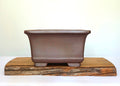 Bonsai Pot Square 30cm Reduction Fired - The Plant Warehouse NZ