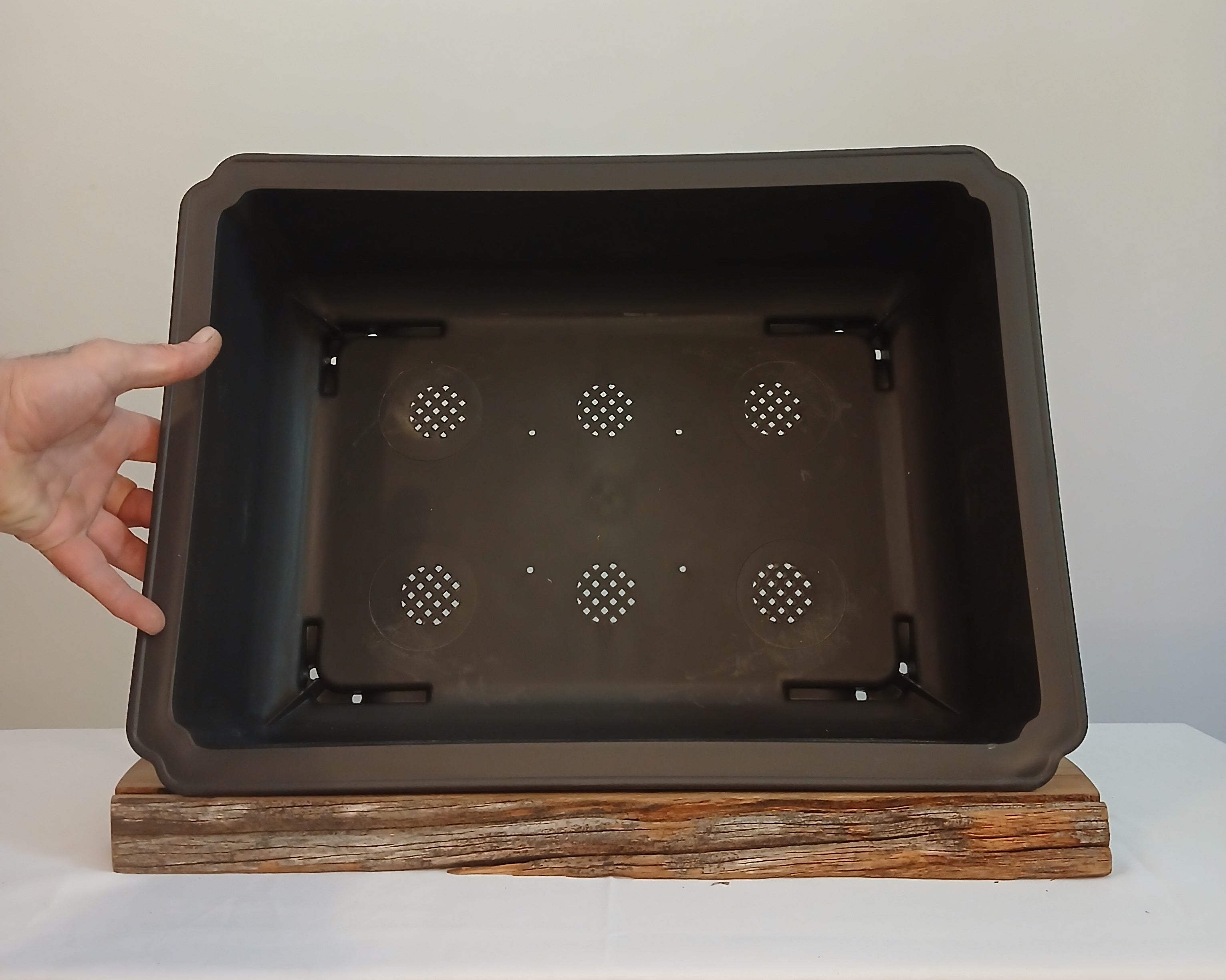 Plastic Bonsai Trainings Pots 50cm Rectangle - The Plant Warehouse NZ