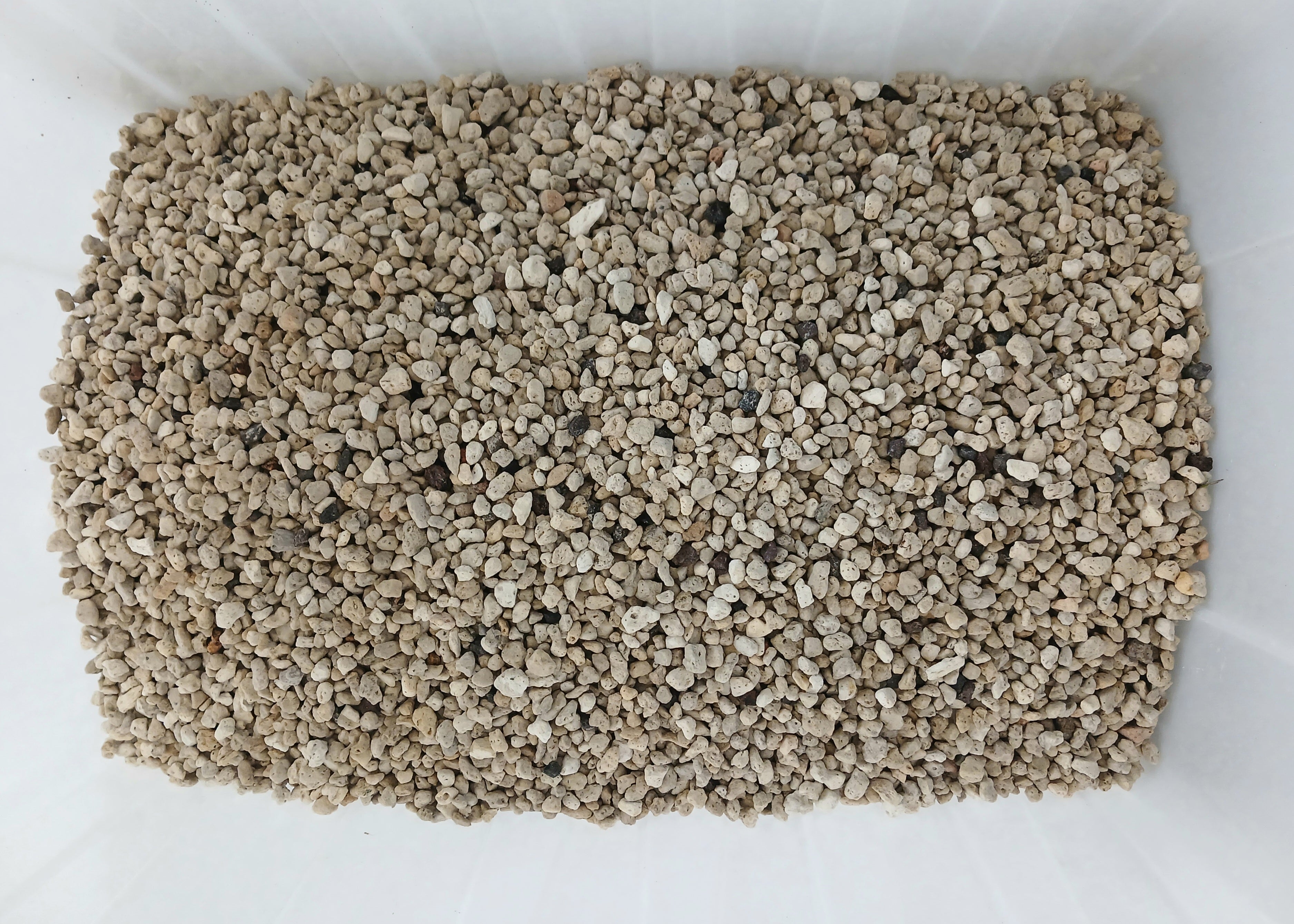Premium Bonsai & Plant Soil — All-Purpose Coarse Pumice 6mm+ / 5.5L - The Plant Warehouse NZ