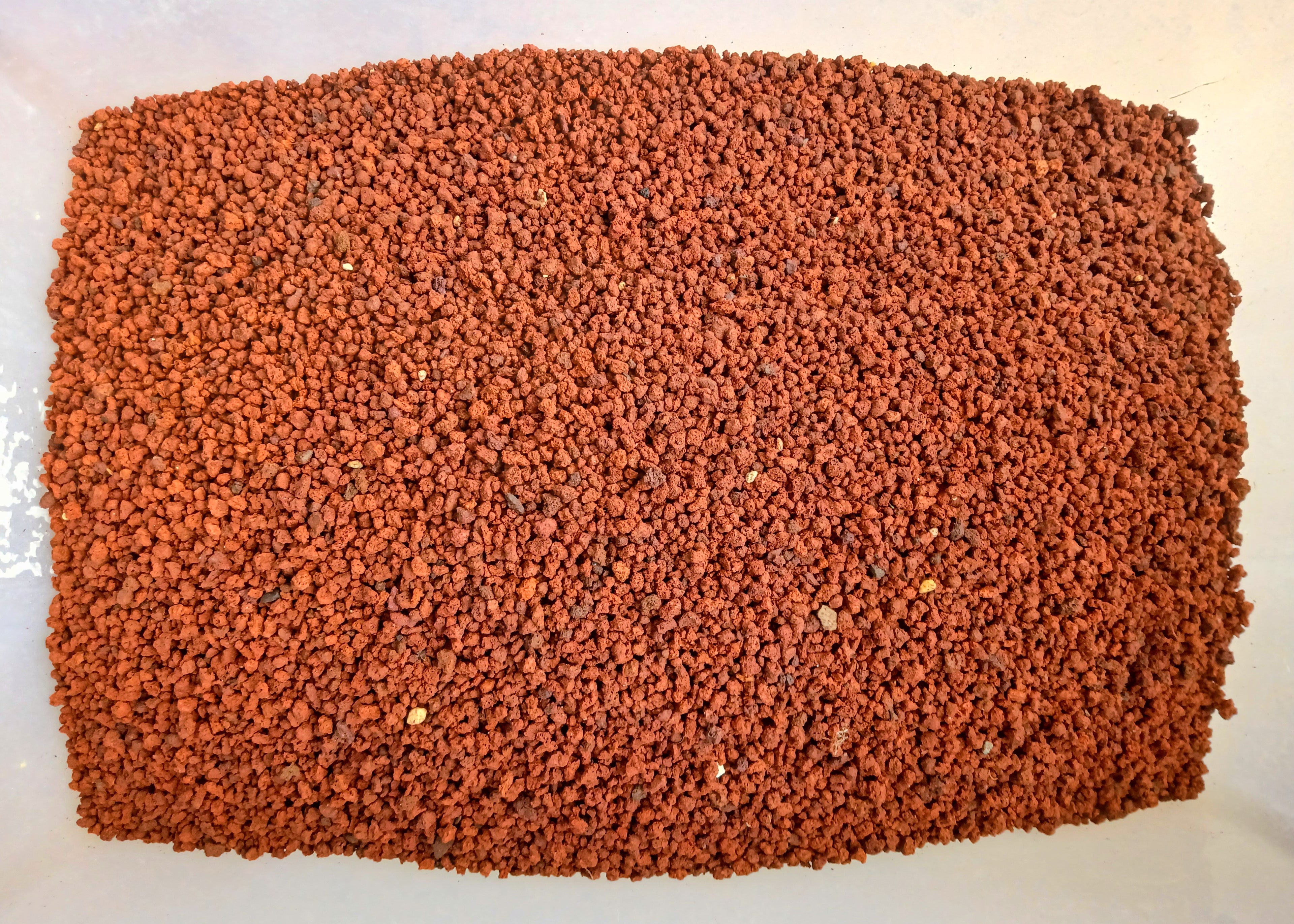 Premium Bonsai & Plant Soil — All-Purpose Medium Scoria 3mm+ / 5.5L - The Plant Warehouse NZ