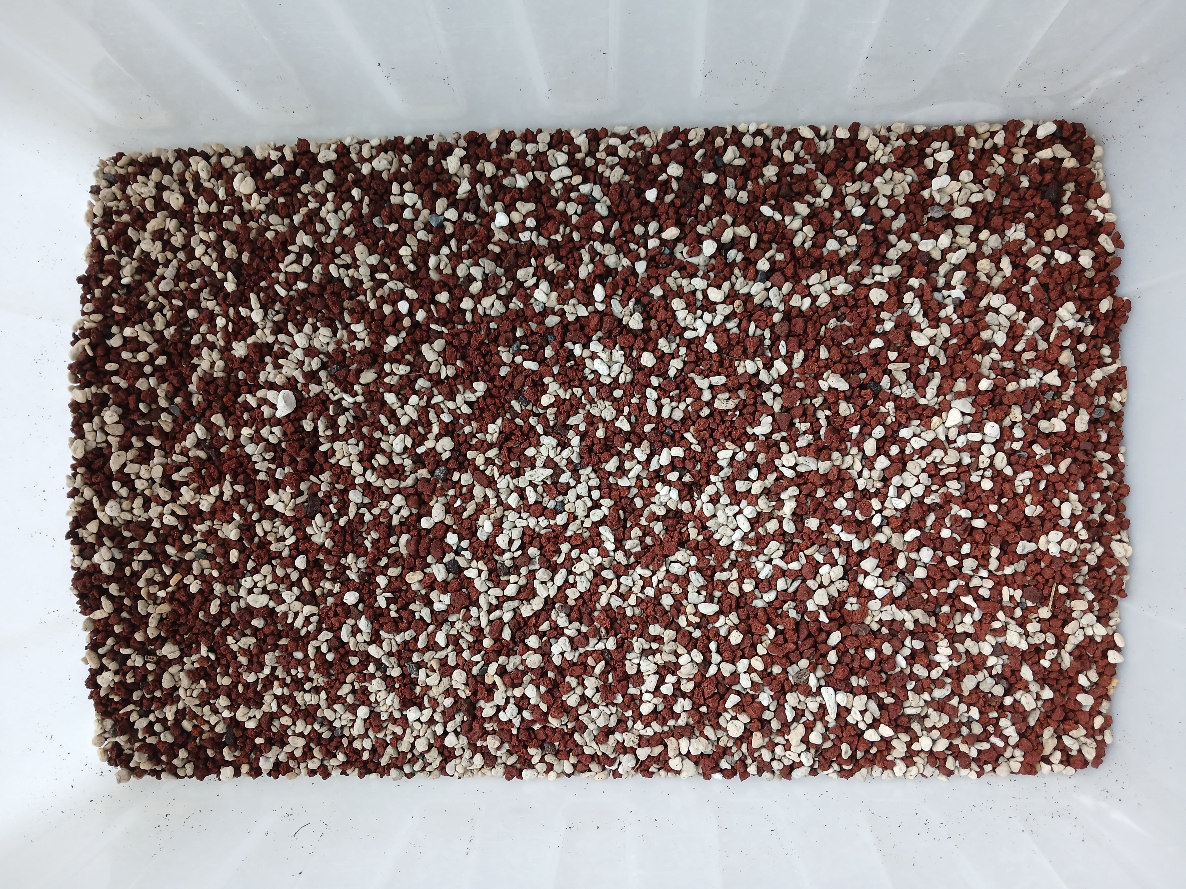 Premium Bonsai & Plant Soil — All-Purpose Medium Inorganic Mix 3mm+ / 5.5L - The Plant Warehouse NZ