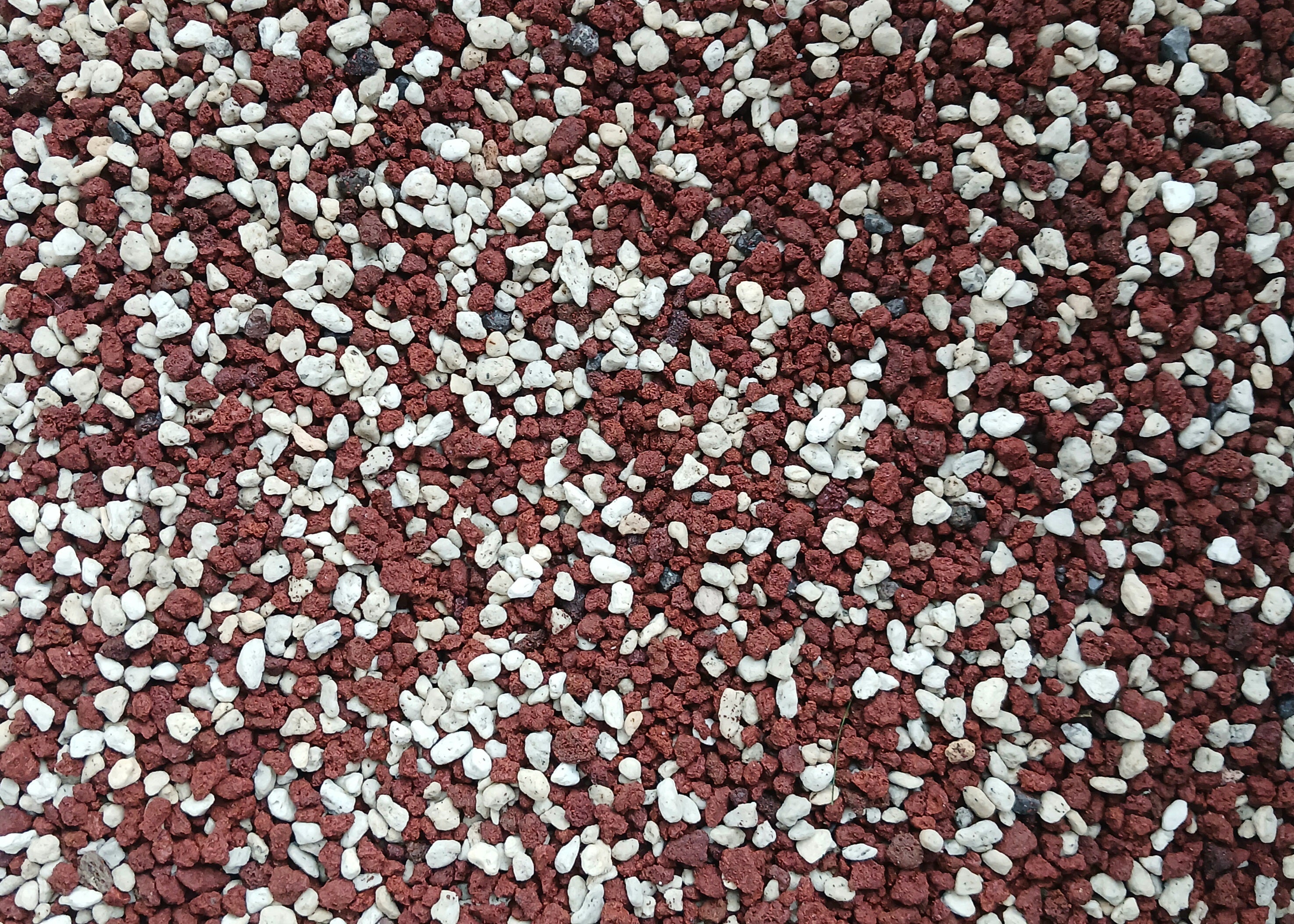 Premium Bonsai & Plant Soil — All-Purpose Medium Inorganic Mix 3mm+ / 5.5L - The Plant Warehouse NZ