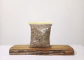 Premium Bonsai & Plant Soil — All-Purpose Medium Pumice 3mm+ / 2.2L - The Plant Warehouse NZ
