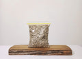 Premium Bonsai & Plant Soil — All-Purpose Coarse Pumice 6mm+ / 2.2L - The Plant Warehouse NZ