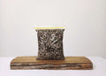 Premium Bonsai & Plant Soil — All-Purpose Mix 30% Pine Bark 3mm+ / 2.2L - The Plant Warehouse NZ