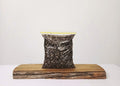 Premium Bonsai & Plant Soil — All-Purpose Mix 50% Pine Bark 3mm+ / 2.2L - The Plant Warehouse NZ