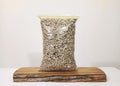 Premium Bonsai & Plant Soil — All-Purpose Coarse Pumice 6mm+ / 5.5L - The Plant Warehouse NZ