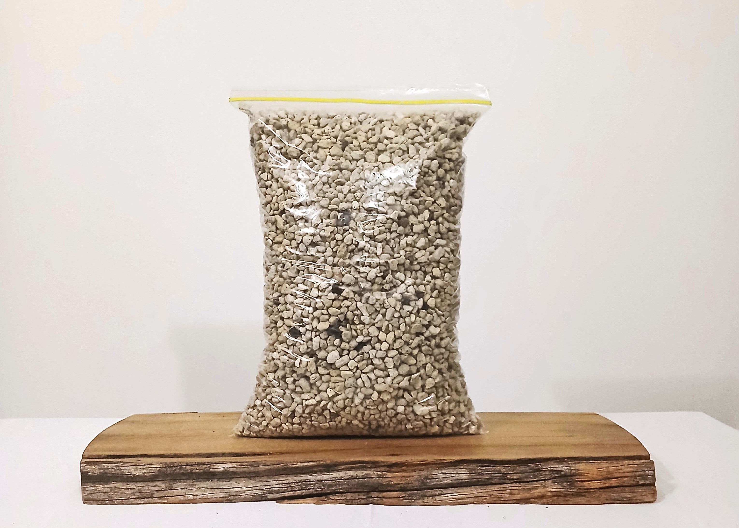 Premium Bonsai & Plant Soil — All-Purpose Coarse Pumice 6mm+ / 5.5L - The Plant Warehouse NZ