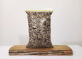 Premium Bonsai & Plant Soil — All-Purpose Medium Inorganic Mix 3mm+ / 5.5L - The Plant Warehouse NZ