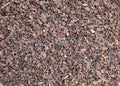 Premium Bonsai & Plant Soil — All-Purpose Medium Pine Bark 3mm+ / 15L - The Plant Warehouse NZ
