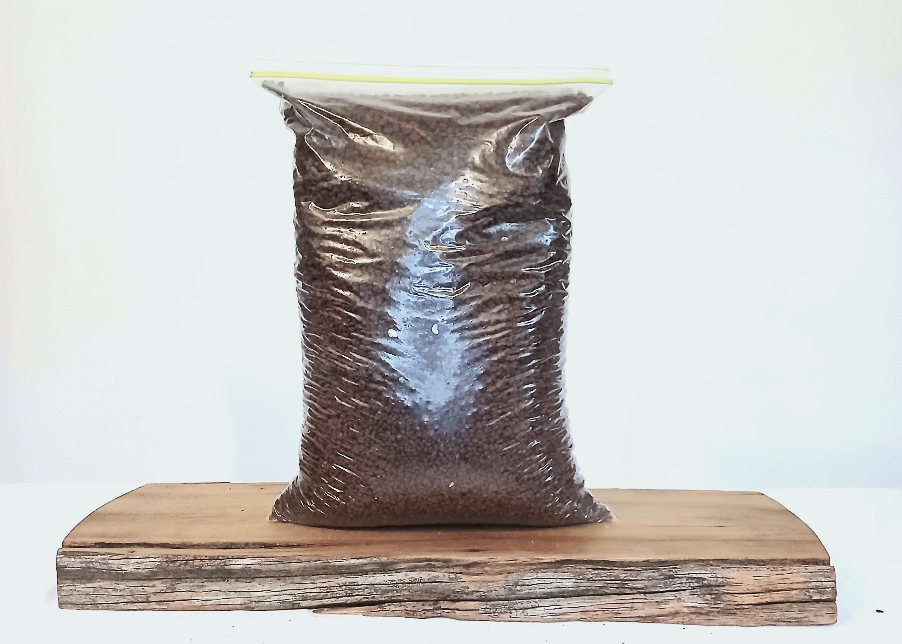Premium Bonsai & Plant Soil — All-Purpose Medium Scoria 3mm+ / 5.5L - The Plant Warehouse NZ
