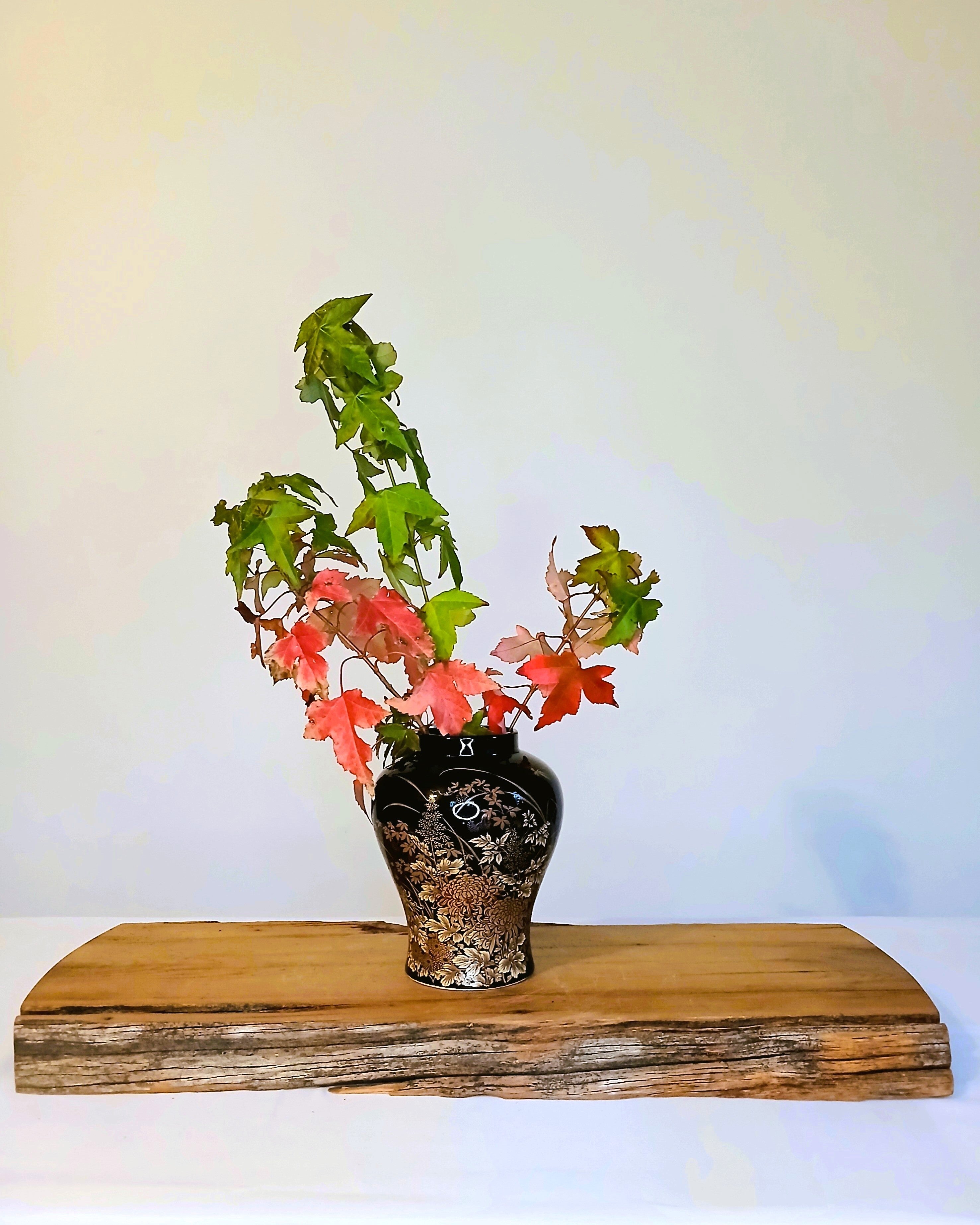 Japanese Black Ground Porcelain Vase – Gold & White Chrysanthemum Floral, Meiji Era - The Plant Warehouse NZ