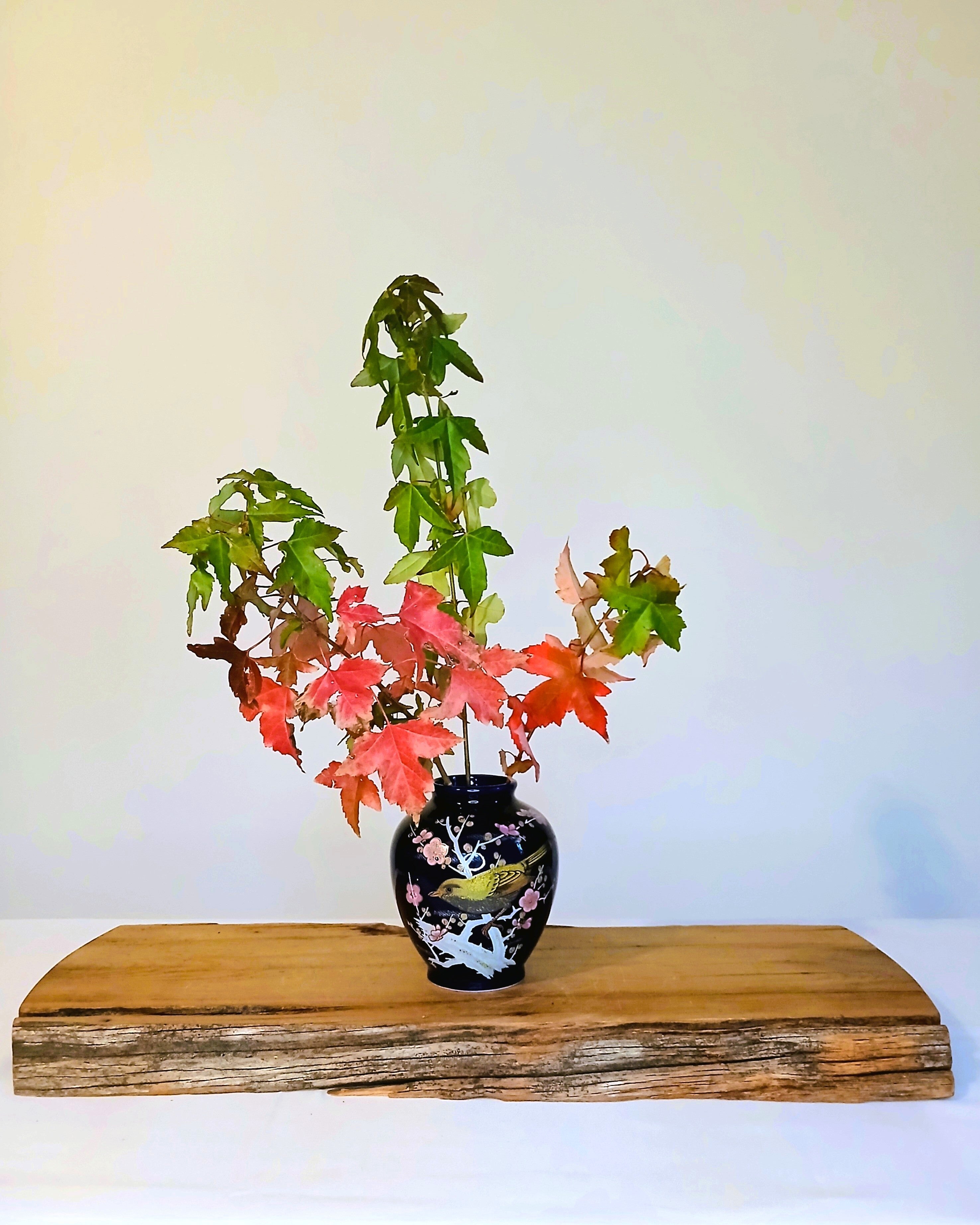 Japanese Cobalt Blue Porcelain Vase — Uguisu & Sakura - The Plant Warehouse NZ