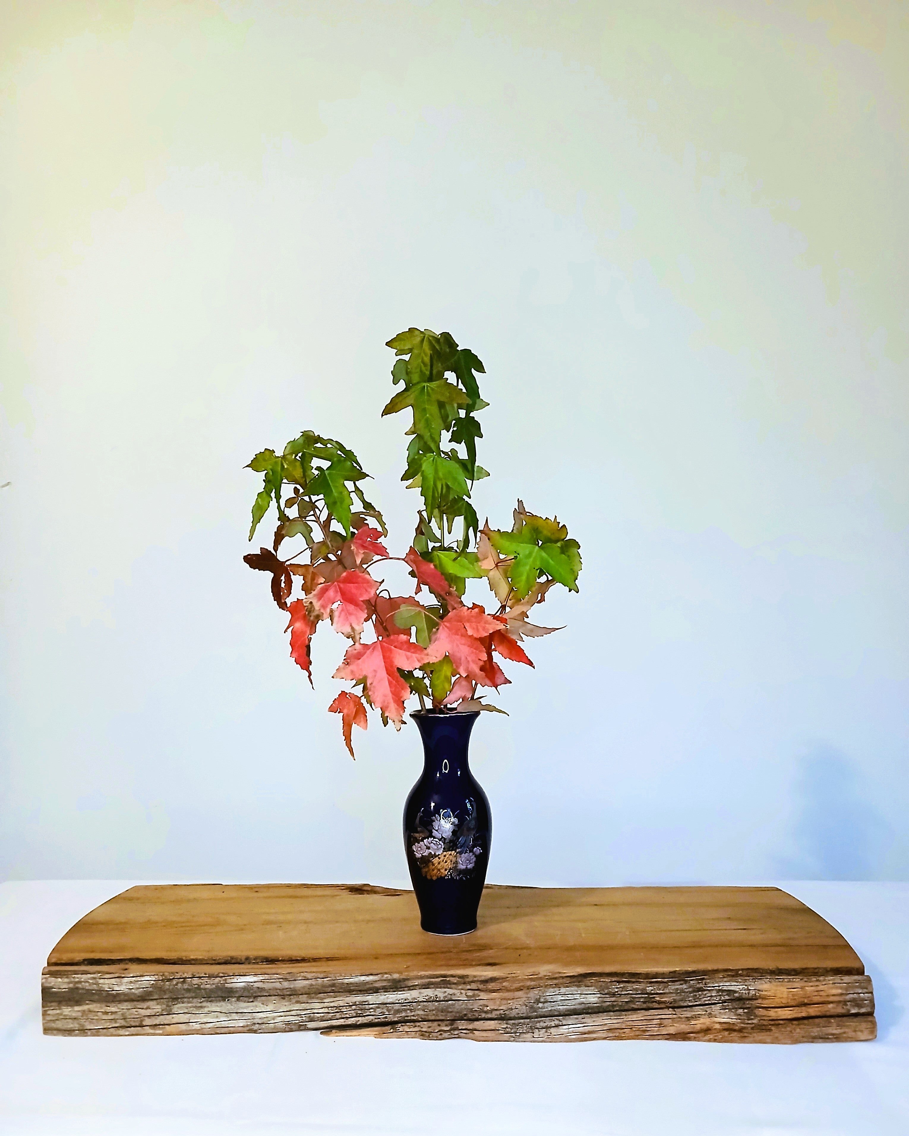 Japanese Cobalt Blue Porcelain Tokkuri Vase — Peacock & Peony - The Plant Warehouse NZ