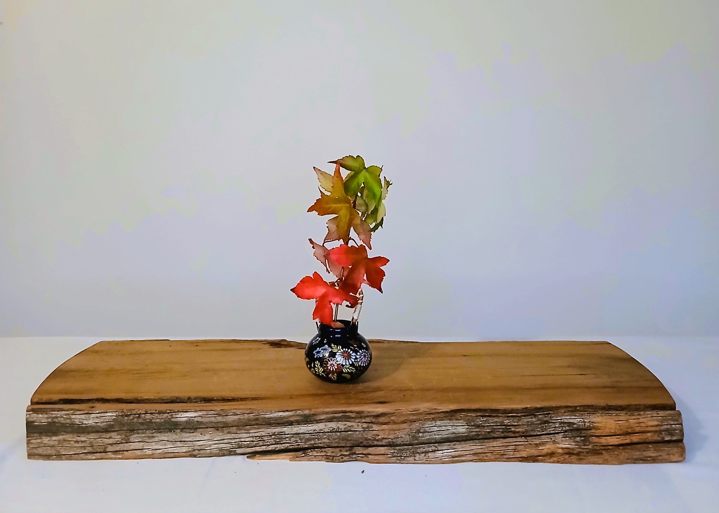 Seiko Miniature Vase – Cobalt Blue Porcelain with Wagon & Sakura Scene, Japan - The Plant Warehouse NZ