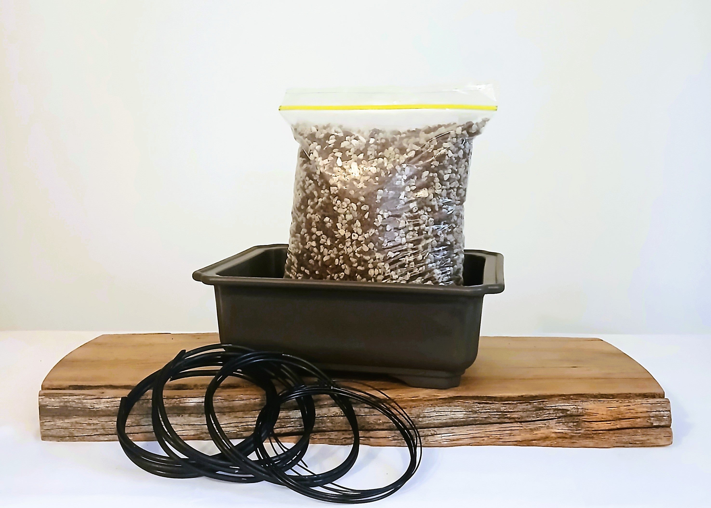 D.I.Y. Bonsai Starter Set - Pot, Wire, Potting mix SMALL 1 - The Plant Warehouse NZ