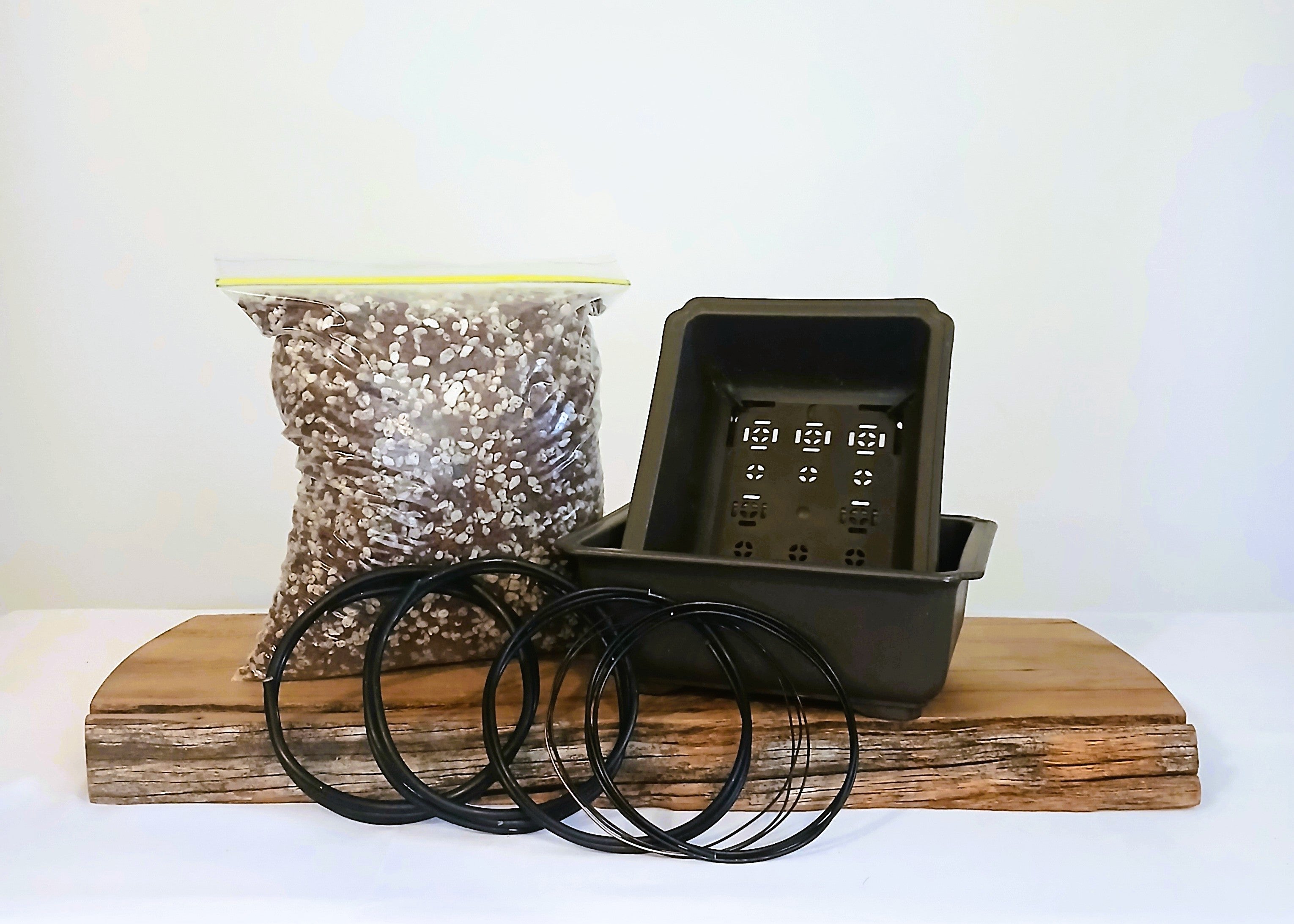D.I.Y. Bonsai Starter Set - Pot, Wire, Potting mix SMALL 2 - The Plant Warehouse NZ