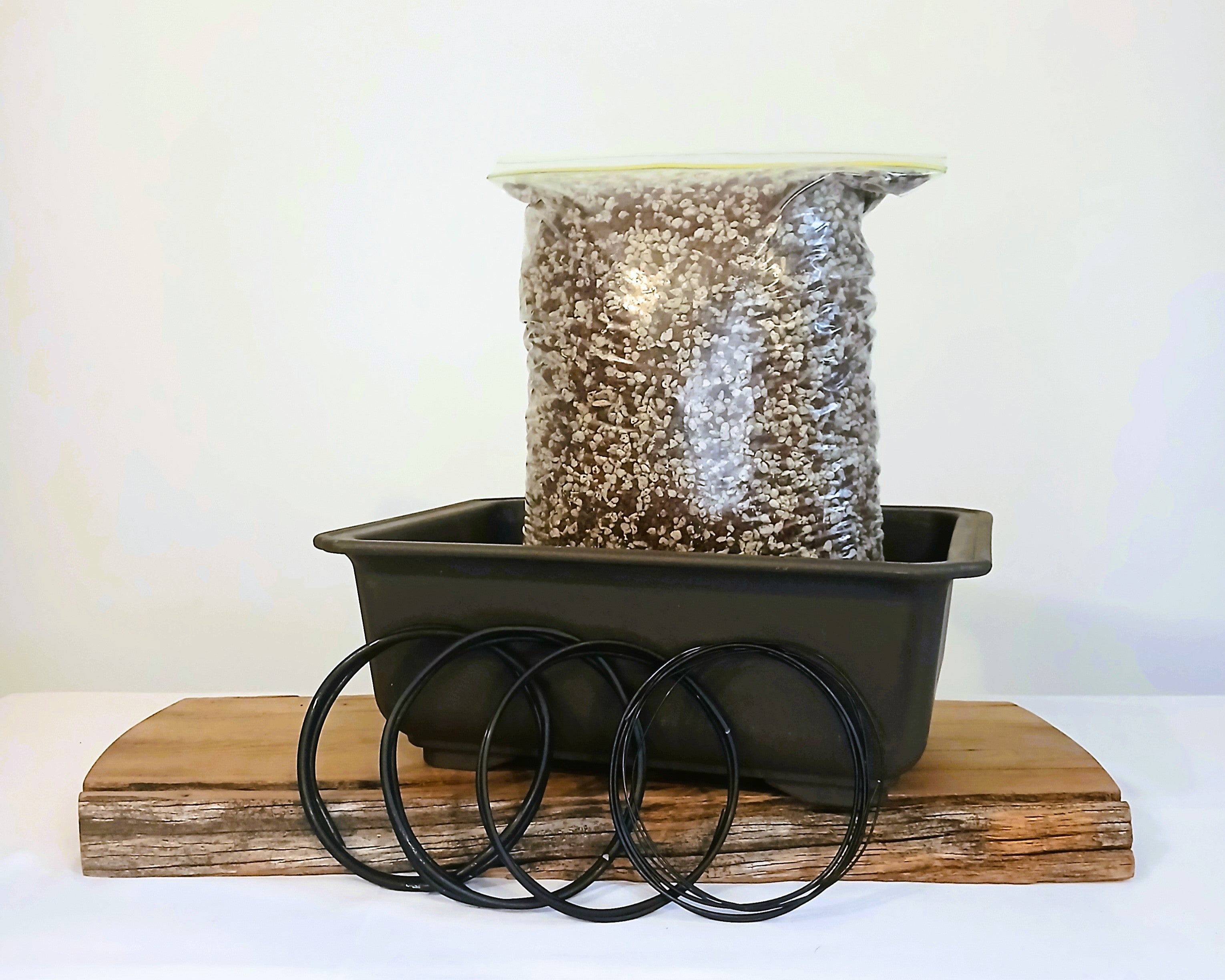 D.I.Y. Bonsai Starter Set - Pot, Wire, Potting mix BIG 1 - The Plant Warehouse NZ