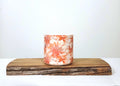 Retro Floral Indoor Plant Pot — Terracotta Chrysanthemum Print - The Plant Warehouse NZ