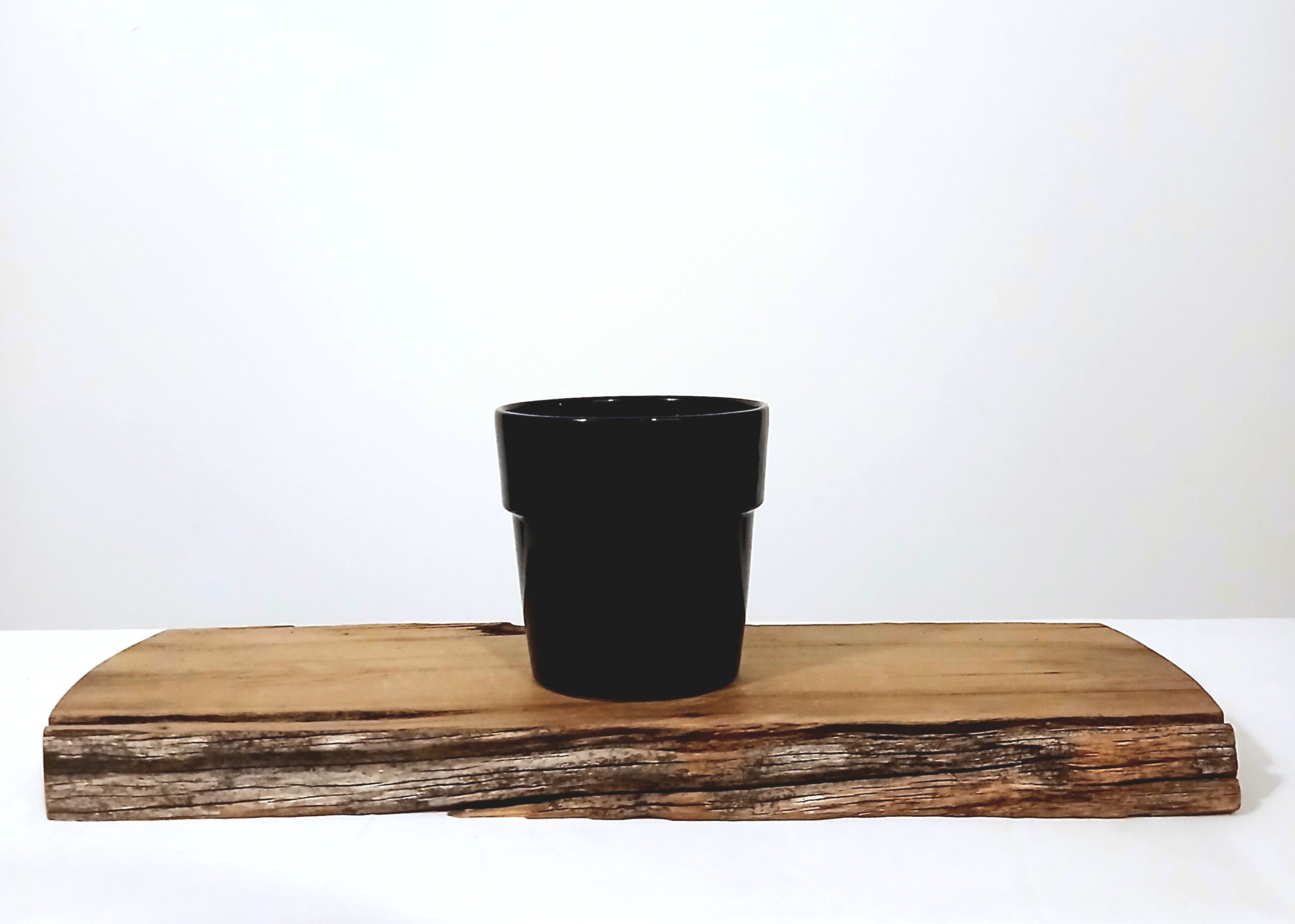 Gloss Black Indoor Plant Pot — Classic Tapered Ceramic - The Plant Warehouse NZ