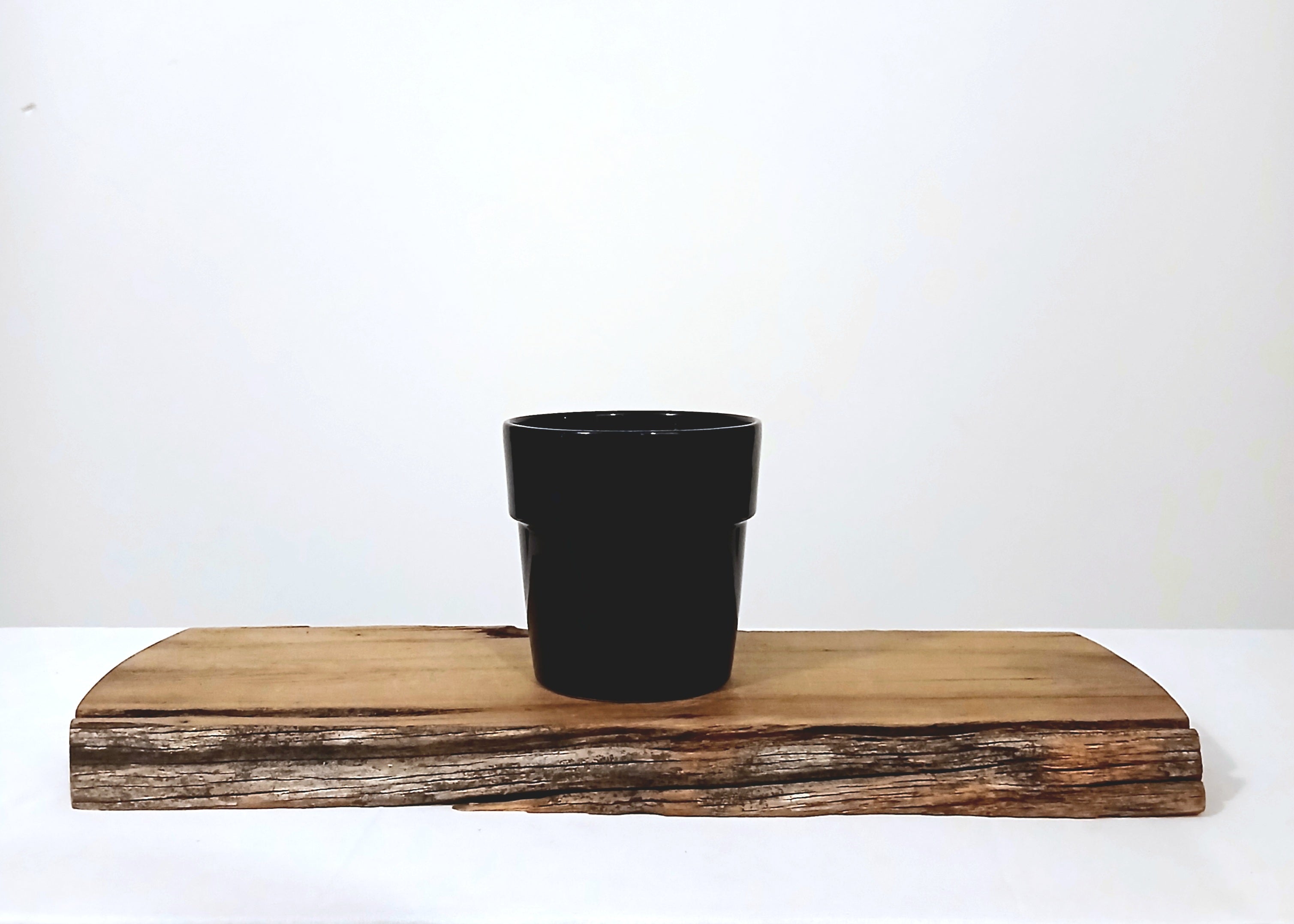 Gloss Black Indoor Plant Pot — Classic Tapered Ceramic - The Plant Warehouse NZ