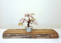 Cherry Blossom Glass Petal Bonsai Tree — Feng Shui Lucky Tree - The Plant Warehouse NZ