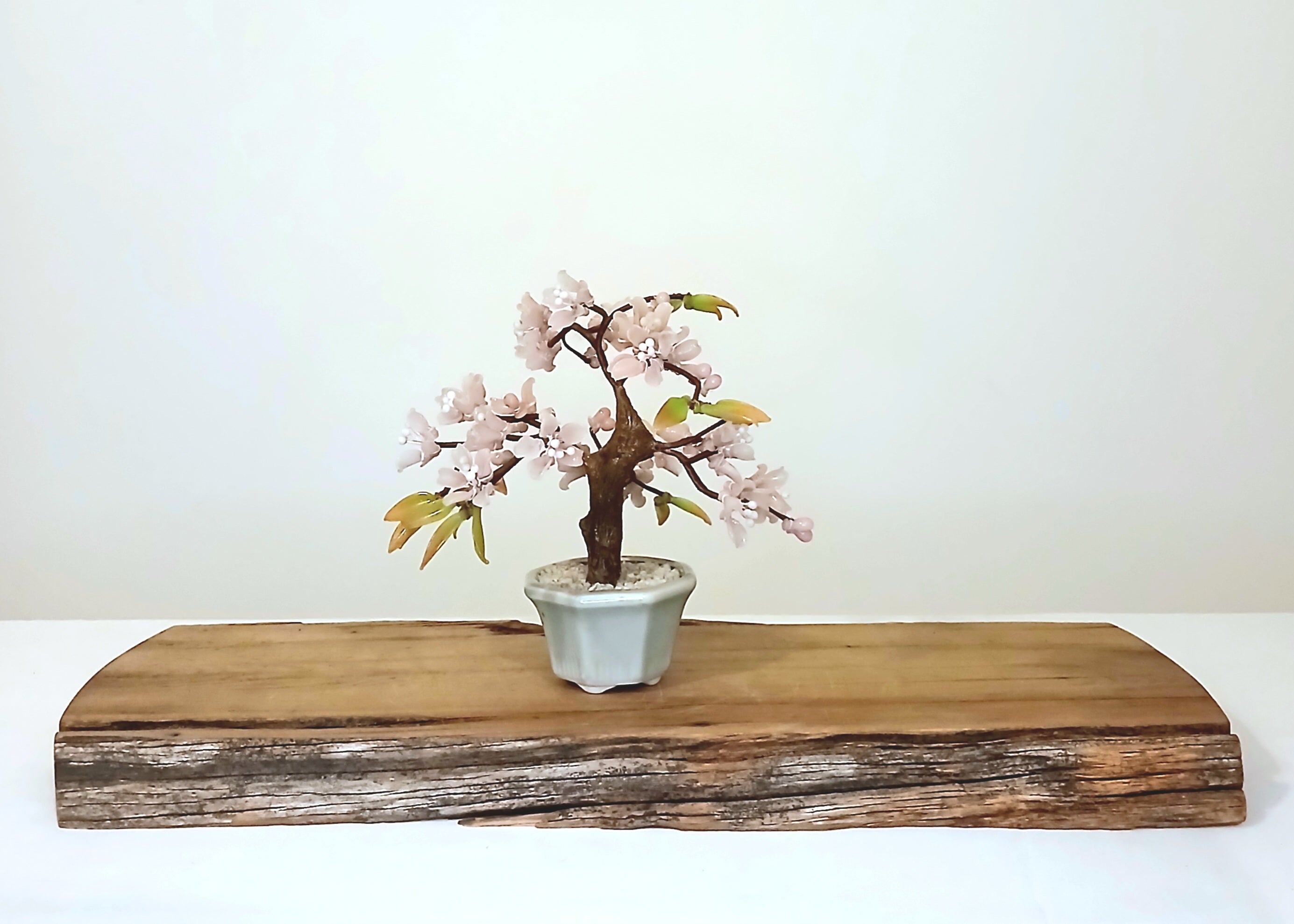 Cherry Blossom Glass Petal Bonsai Tree — Feng Shui Lucky Tree - The Plant Warehouse NZ
