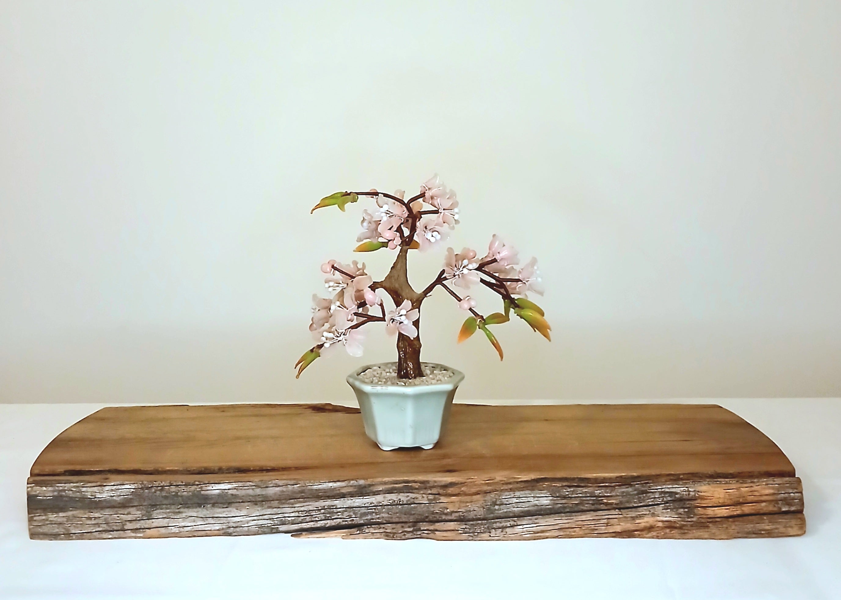 Cherry Blossom Glass Petal Bonsai Tree — Feng Shui Lucky Tree - The Plant Warehouse NZ