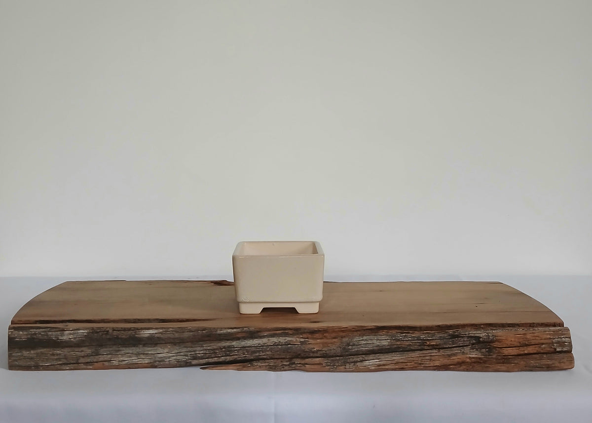 Bonsai Pot Square Mame 9cm