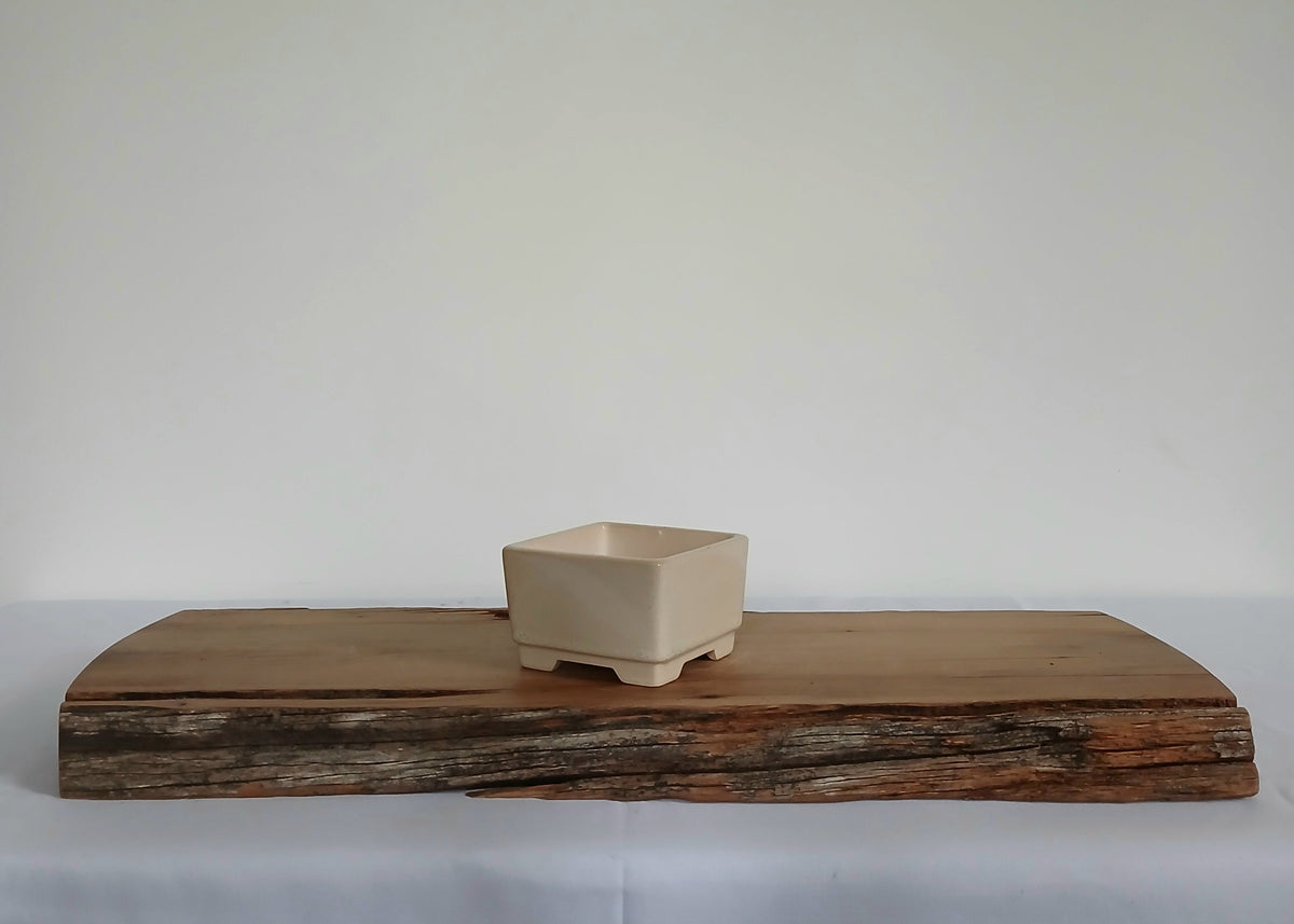 Bonsai Pot Square Mame 9cm