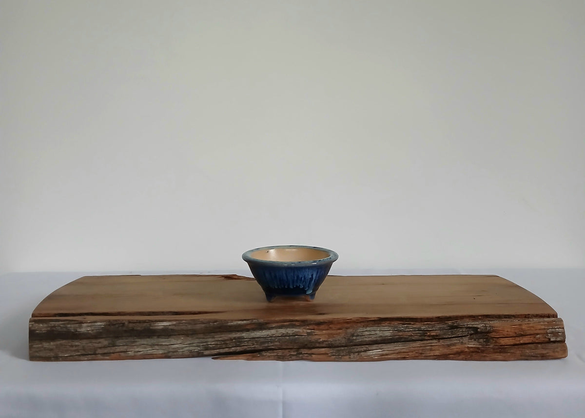 Bonsai Pot Round Mame 10cm