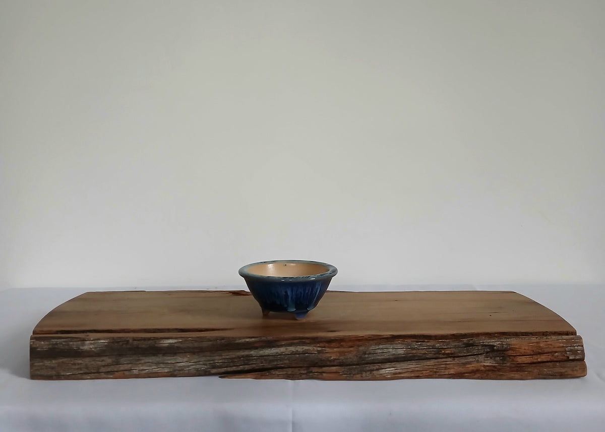 Bonsai Pot Round Mame 10cm