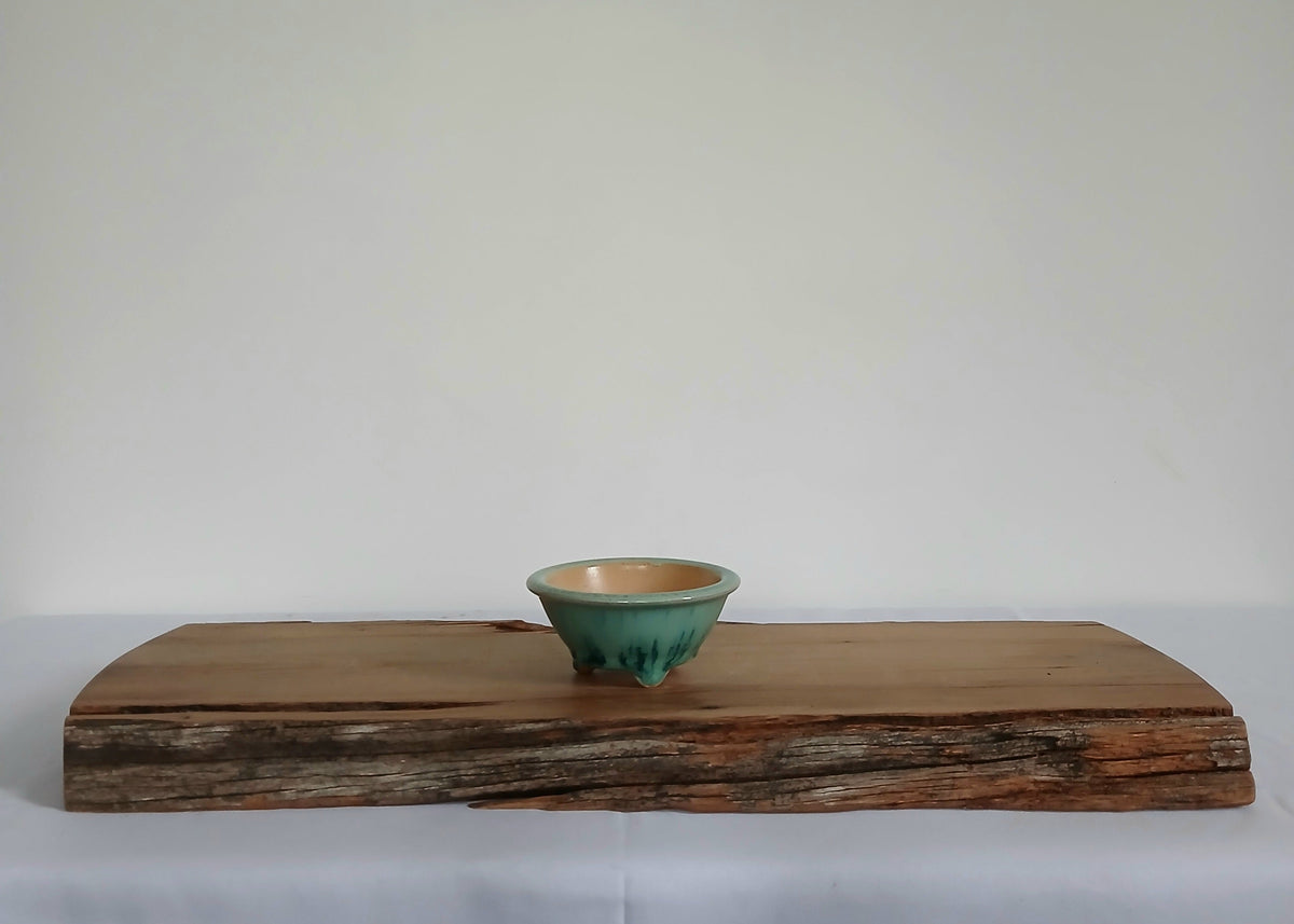 Bonsai Pot Round Mame 10cm Teal