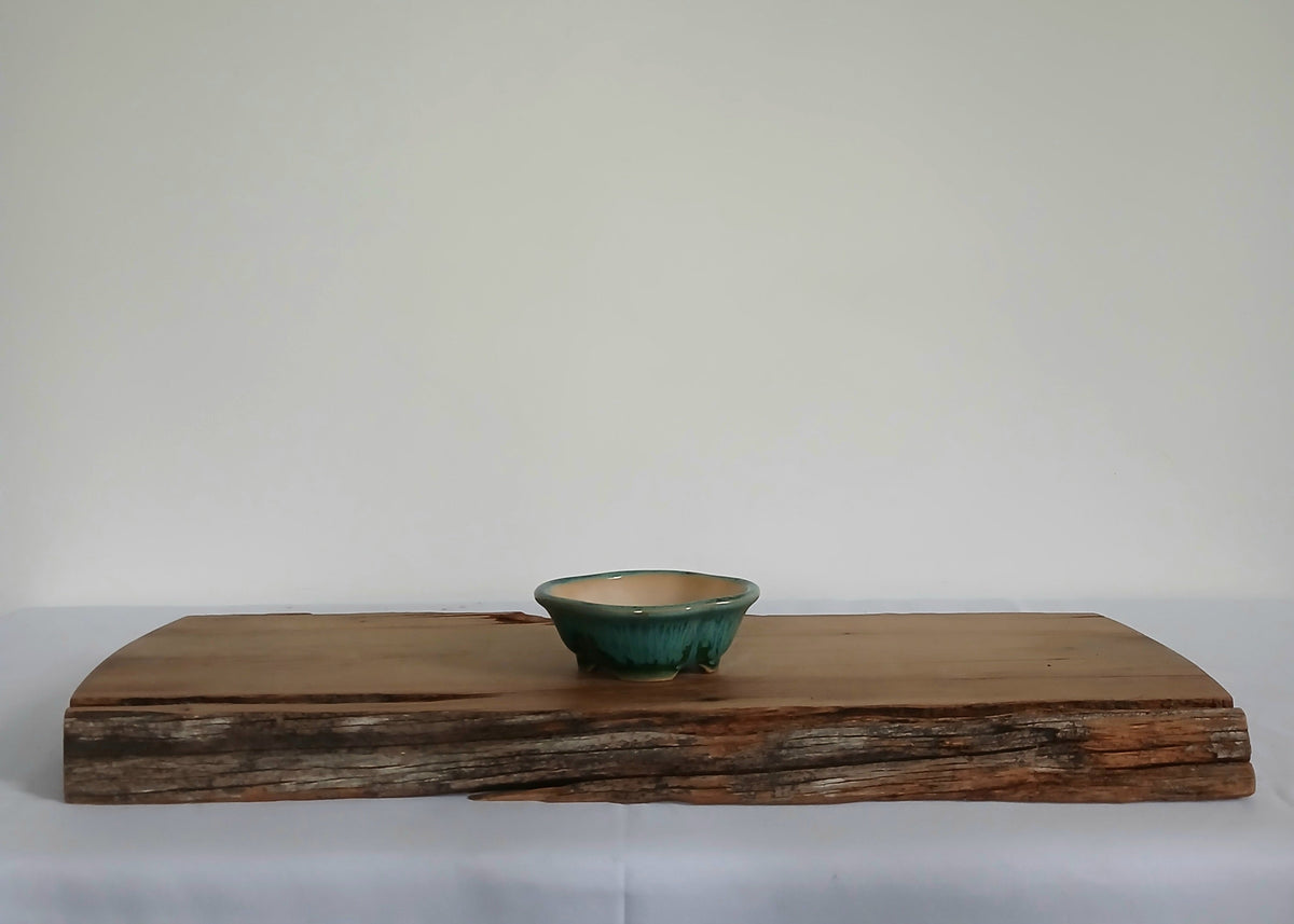 Bonsai Pot Oval Mame 10cm Teal