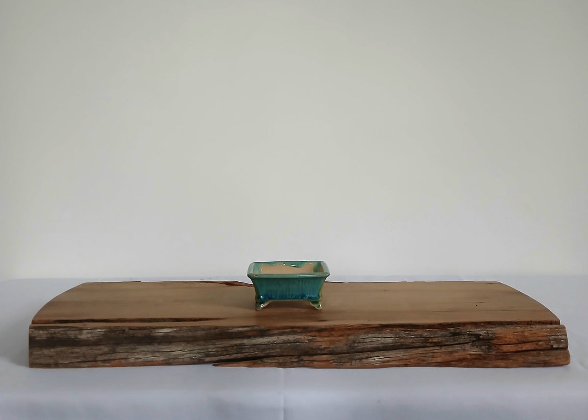 Bonsai Pot Rectangle Mame 8.5cm Teal
