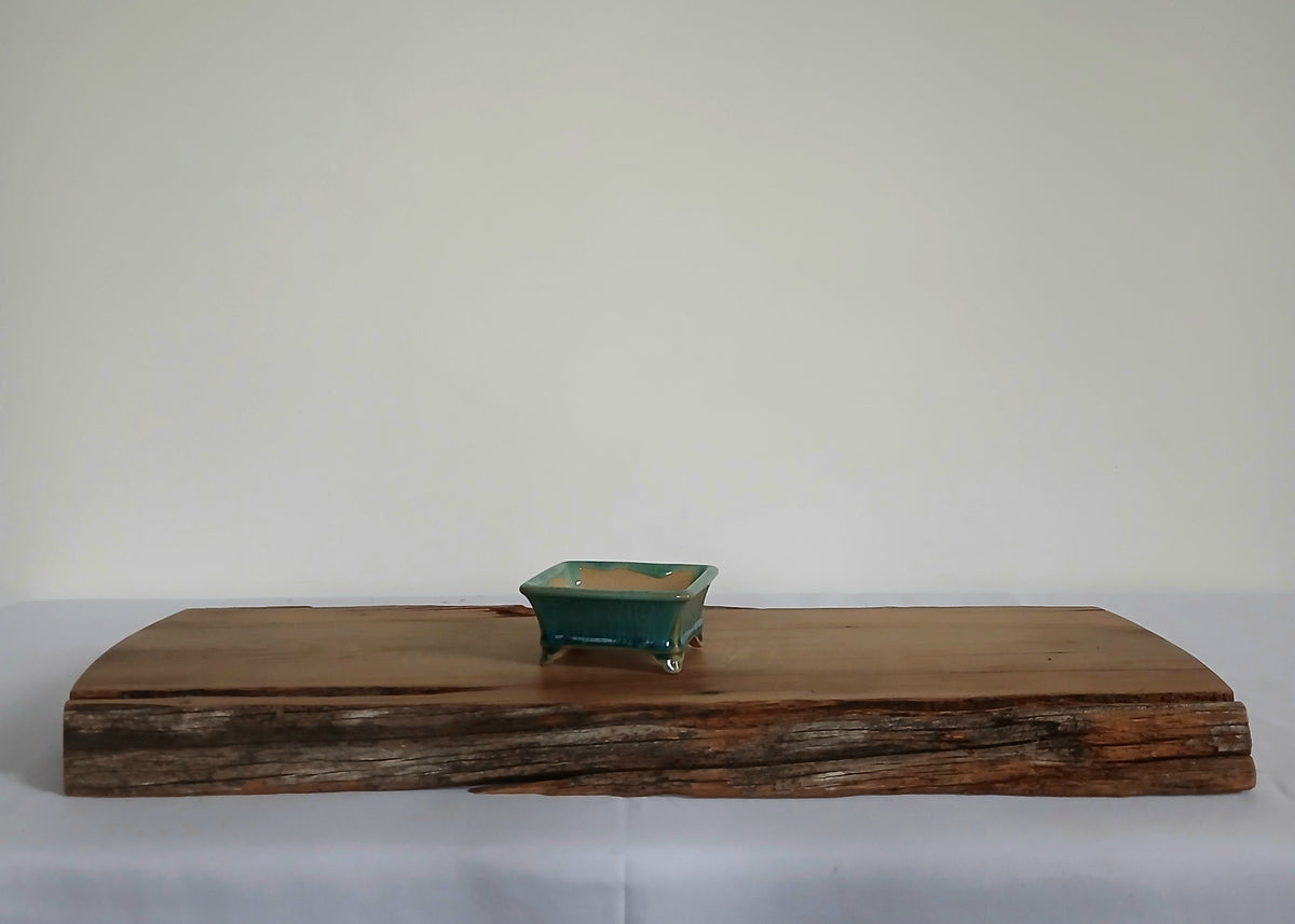 Bonsai Pot Rectangle Mame 8.5cm Teal