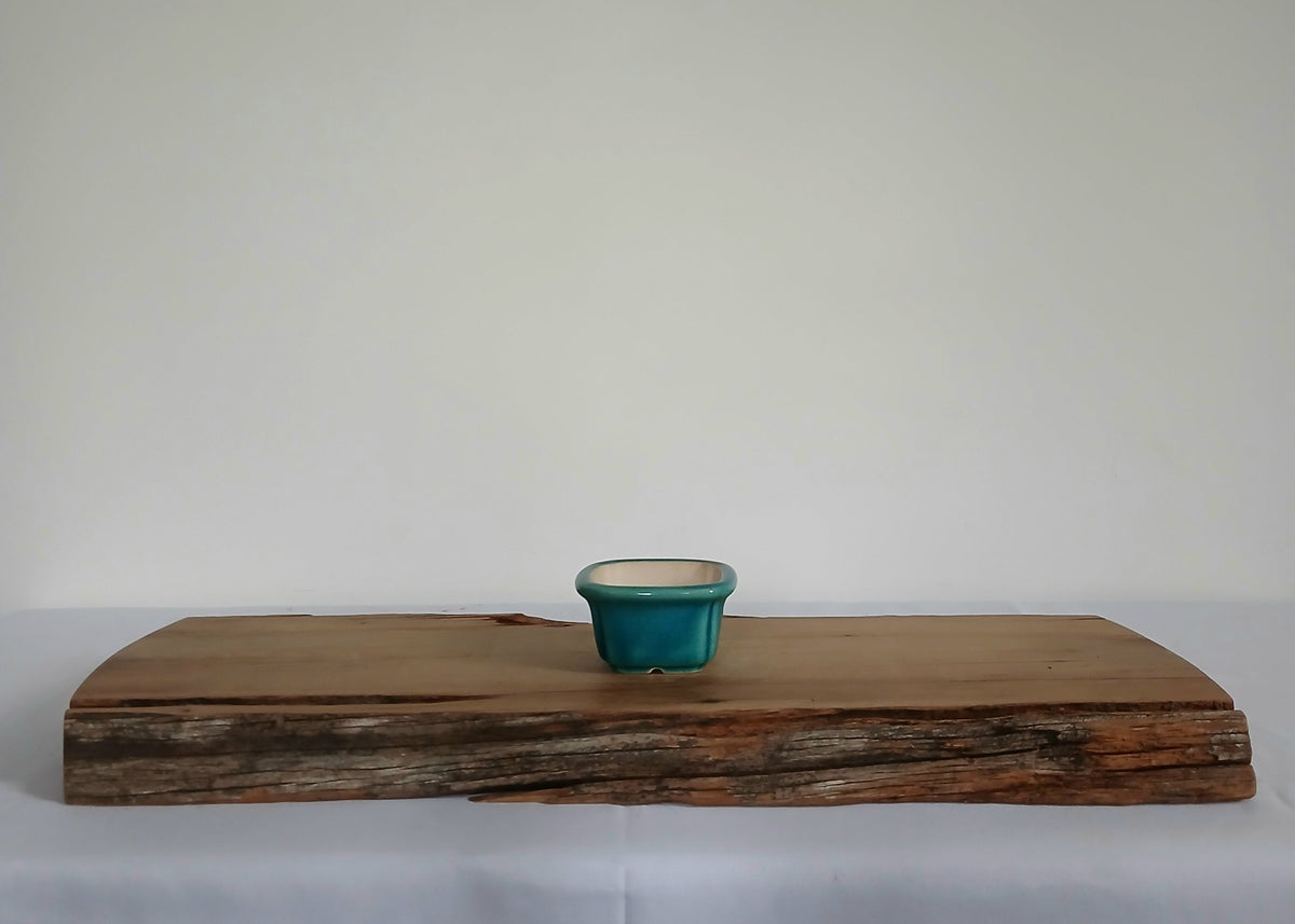 Bonsai Pot Square Mame 7.5cm Teal