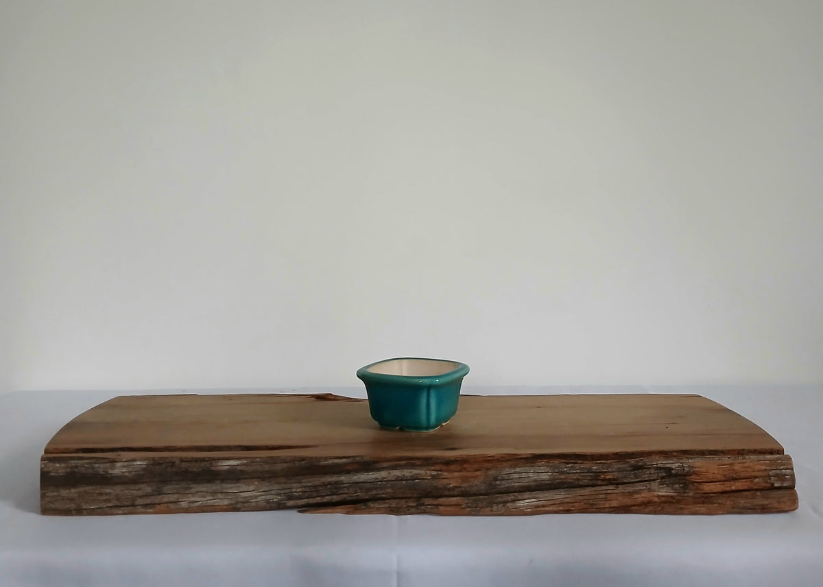 Bonsai Pot Square Mame 7.5cm Teal