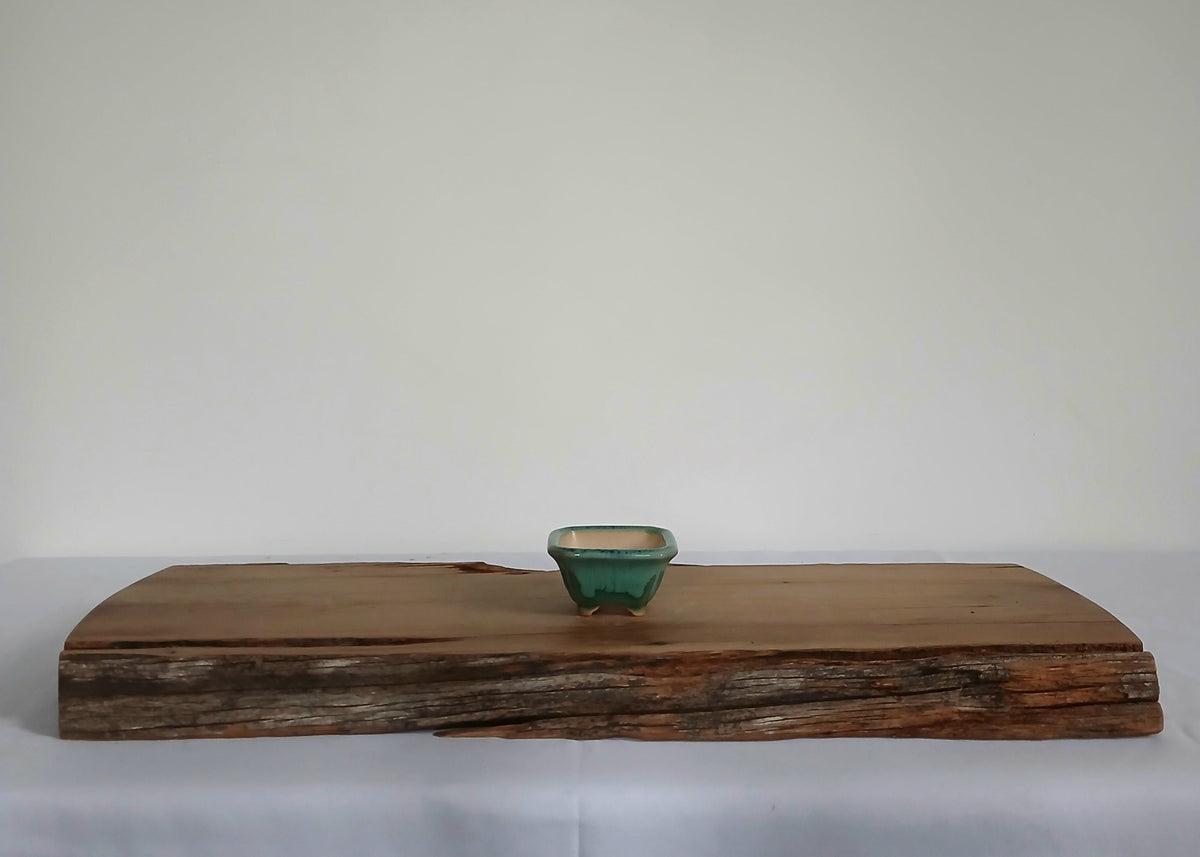 Bonsai Pot Square Mame 6.5cm Teal