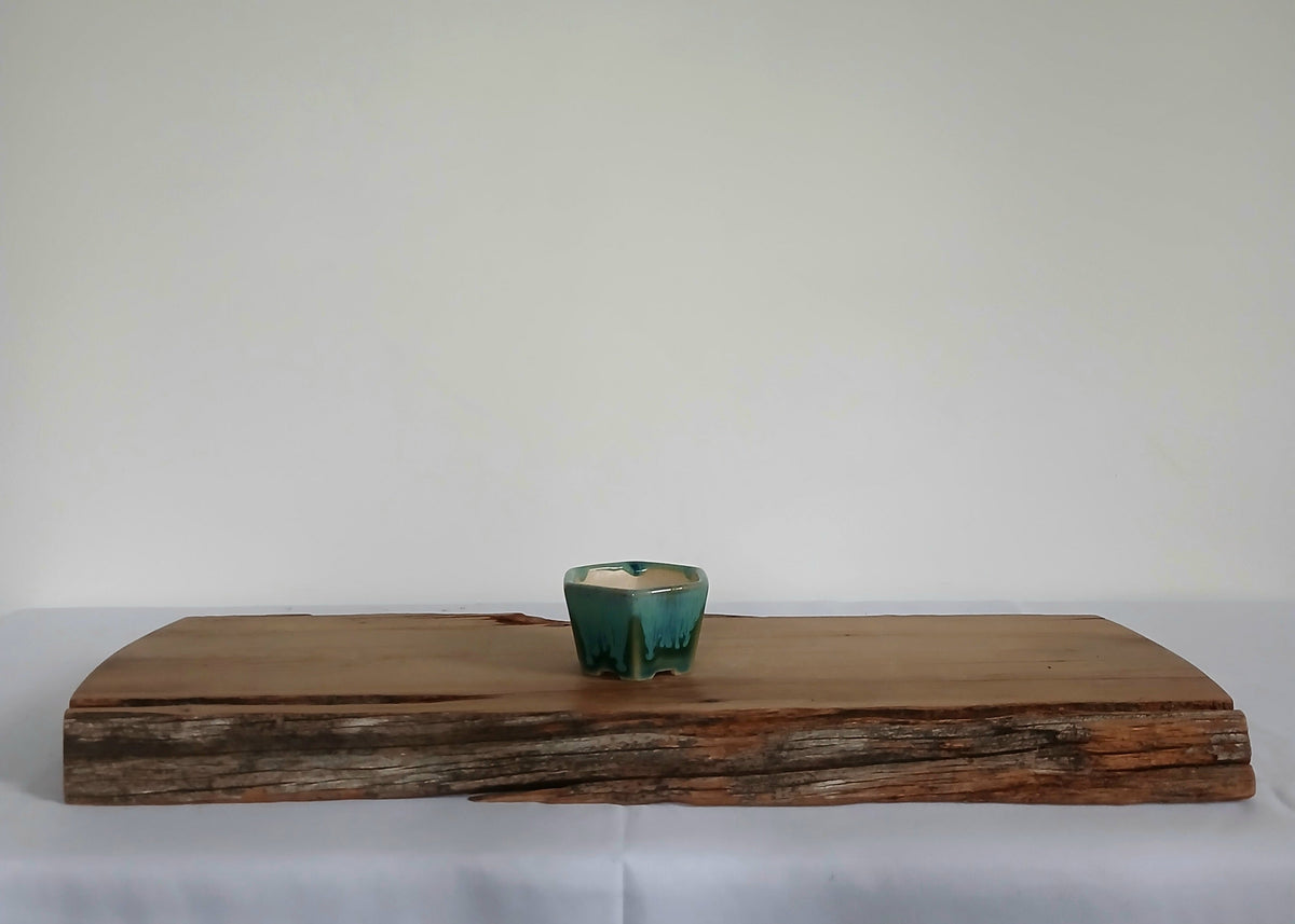 Bonsai Pot Hexagonal Mame 7cm Teal