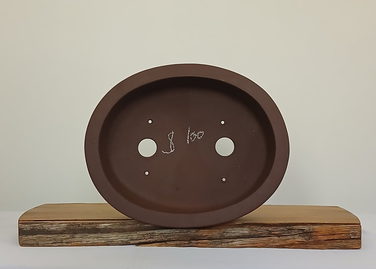 Bonsai Pot Oval - The Plant Warehouse NZ