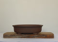 Bonsai Pot Oval 33cm - The Plant Warehouse NZ