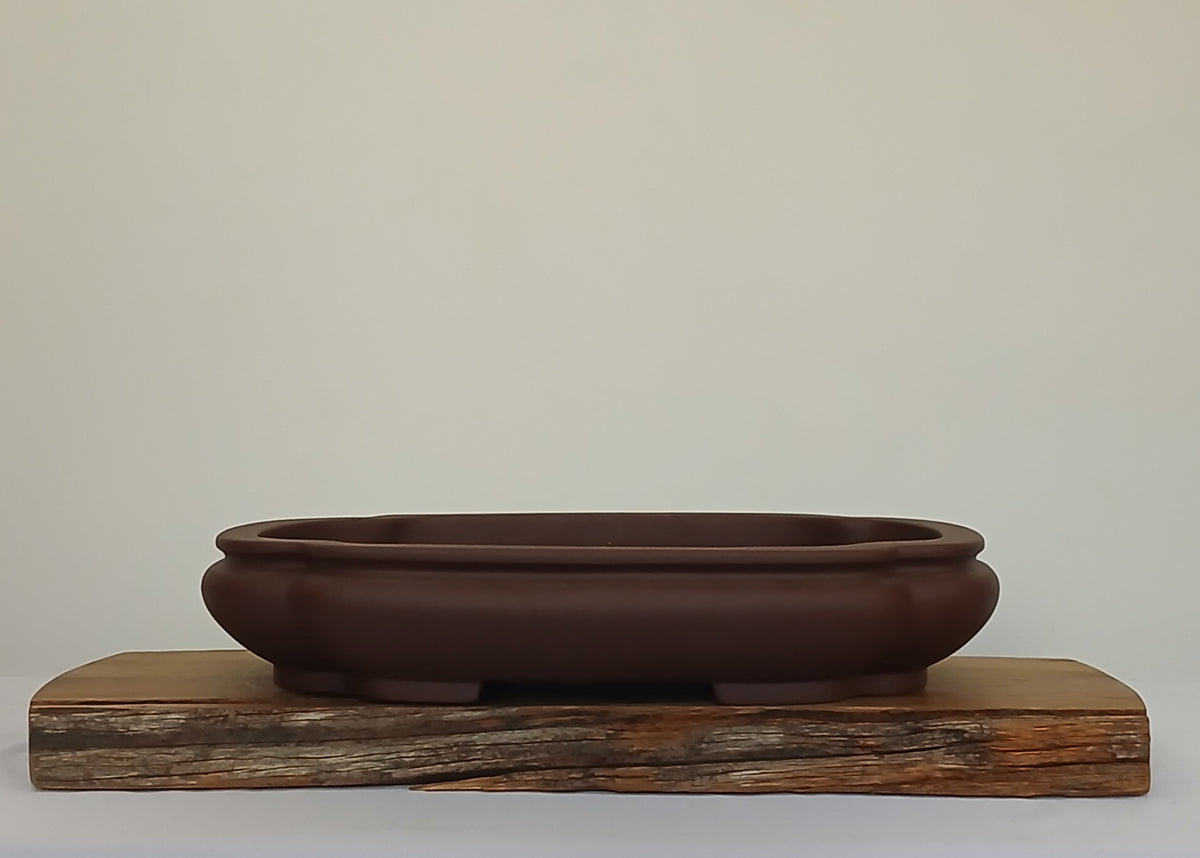 Bonsai Pot Lotus Oval 39cm