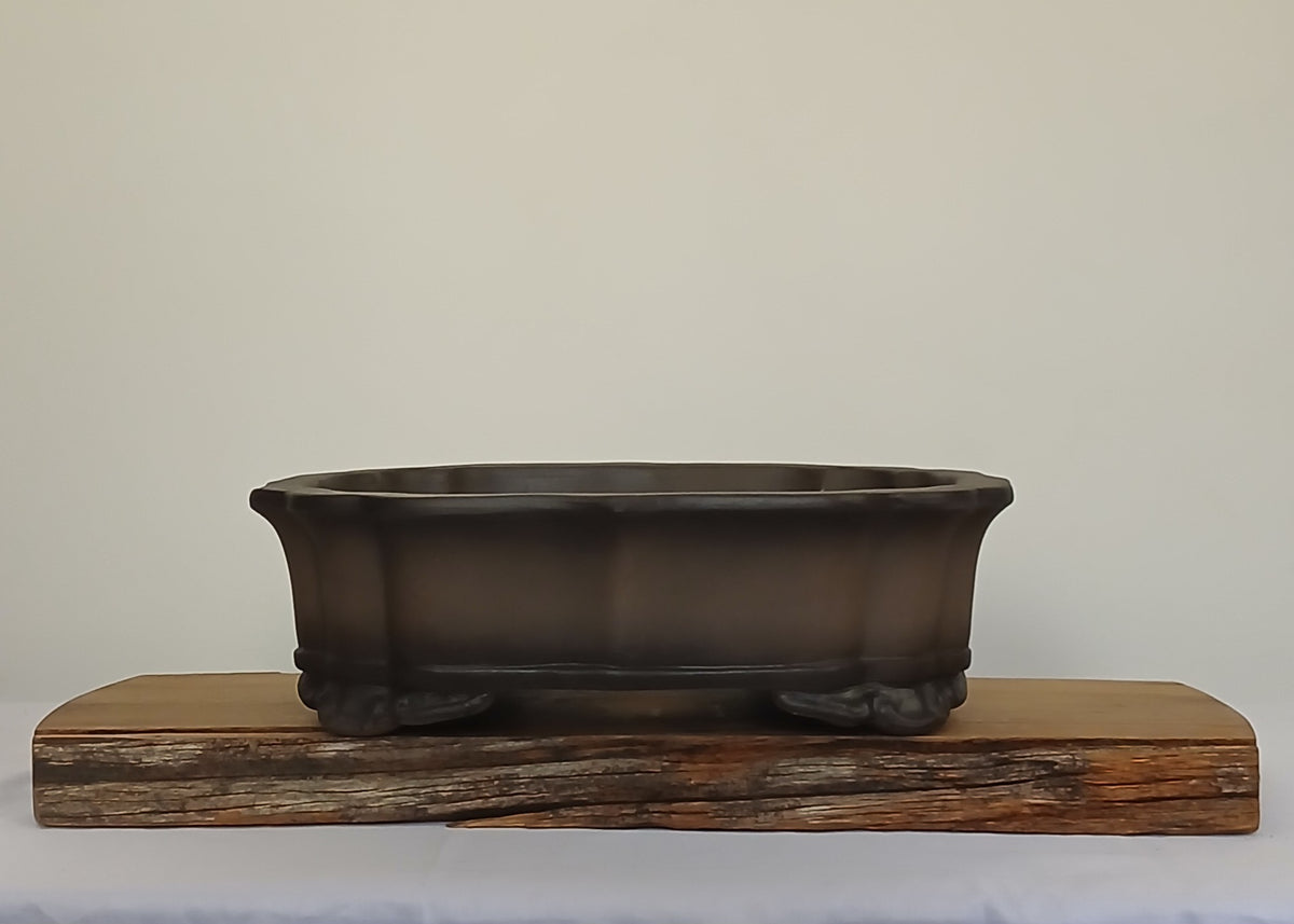 Bonsai Pot Lotus Oval 34cm