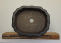 Bonsai Pot Lotus Oval 34cm