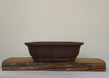 Bonsai Pot Lotus Oval