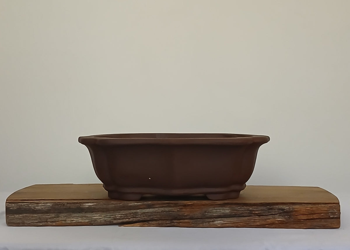 Bonsai Pot Lotus Oval