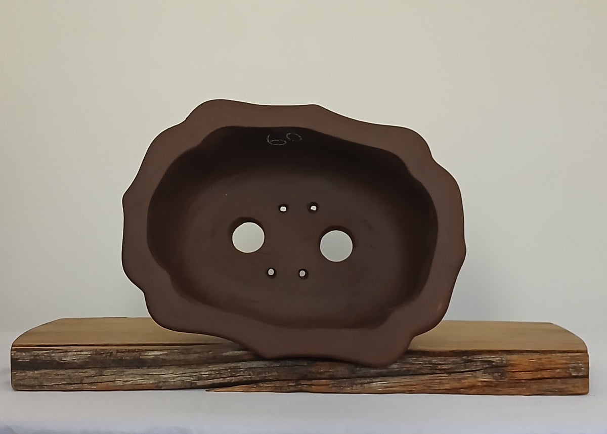 Bonsai Pot Lotus Oval